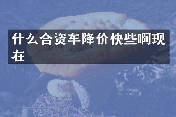 什么合资车降价快些啊现在