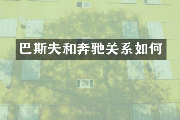 巴斯夫和奔驰关系如何