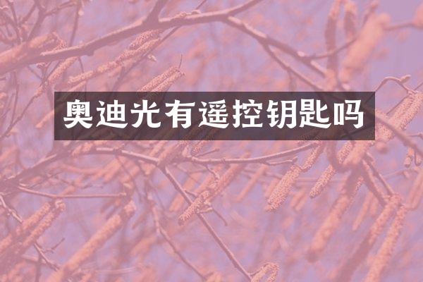 奥迪光有遥控钥匙吗