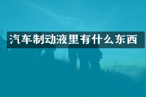汽车制动液里有什么东西