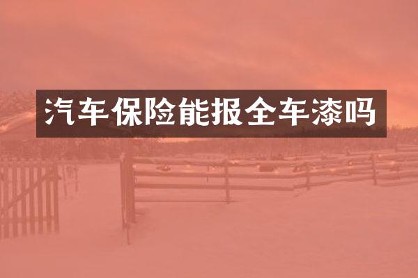 汽车保险能报全车漆吗