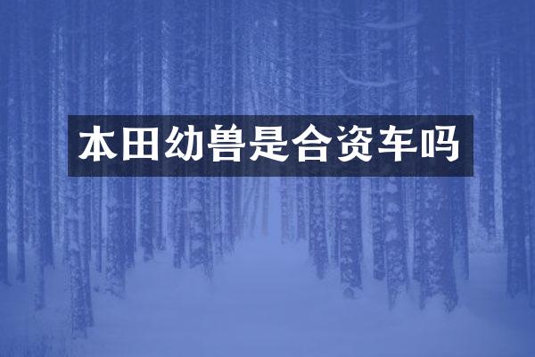本田幼兽是合资车吗
