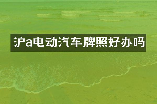 沪a电动汽车牌照好办吗