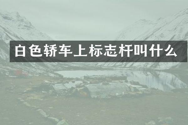 白色轿车上标志杆叫什么