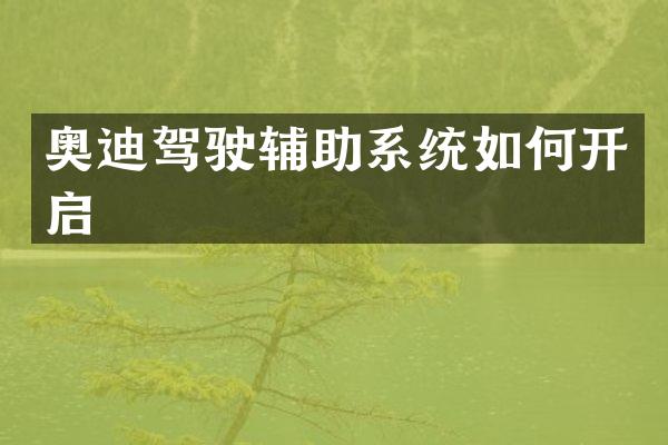 奥迪驾驶辅助系统如何开启
