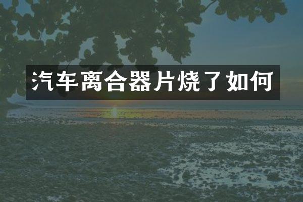 汽车离合器片烧了如何
