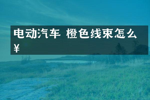 电动汽车 橙色线束怎么接