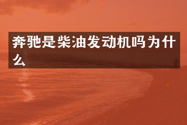 奔驰是柴油发动机吗为什么