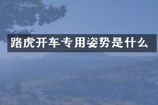 路虎开车专用姿势是什么