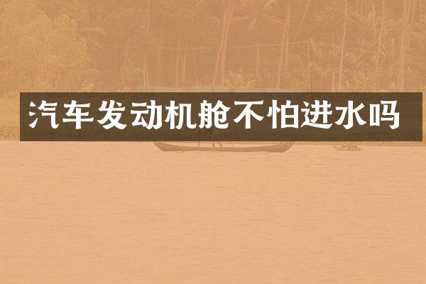 汽车发动机舱不怕进水吗
