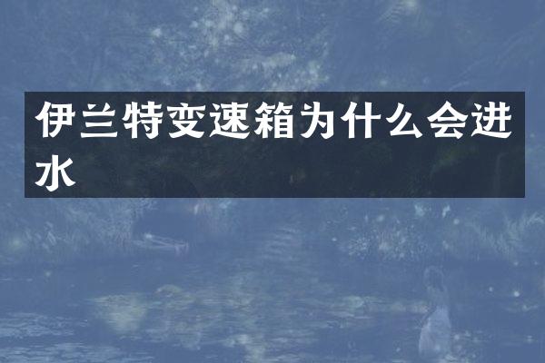 伊兰特变速箱为什么会进水