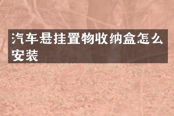 汽车悬挂置物收纳盒怎么安装