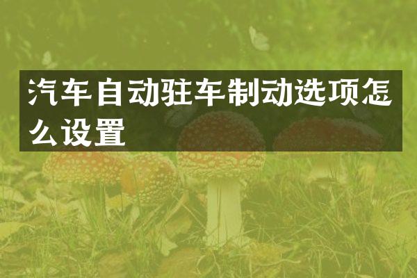 汽车自动驻车制动选项怎么设置