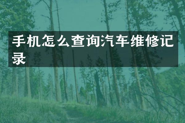 手机怎么查询汽车维修记录