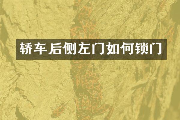 轿车后侧左门如何锁门