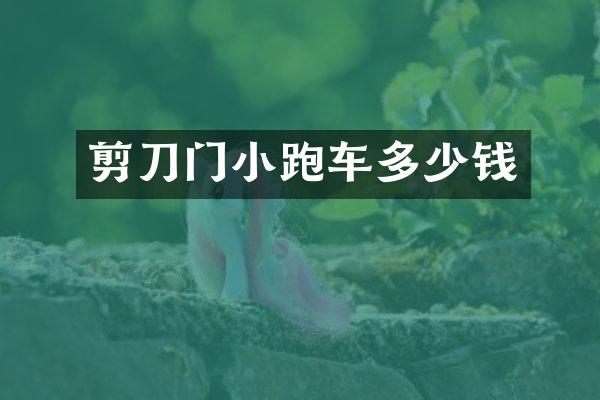 剪刀门小跑车多少钱