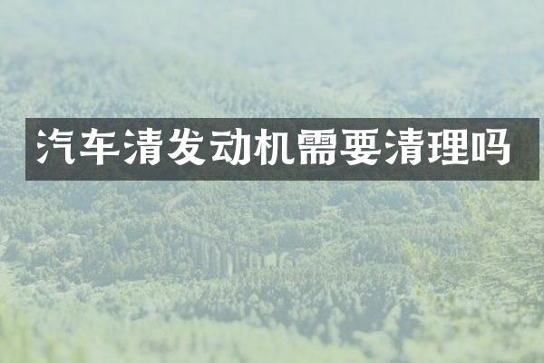 汽车清发动机需要清理吗