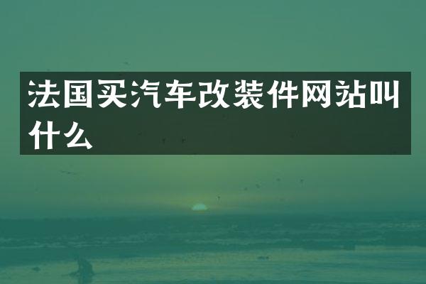 法国买汽车改装件网站叫什么