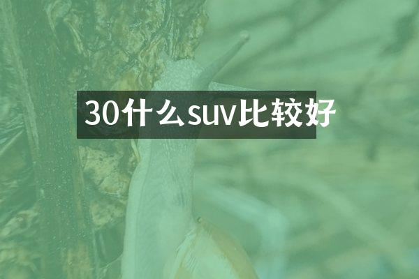 30什么suv比较好