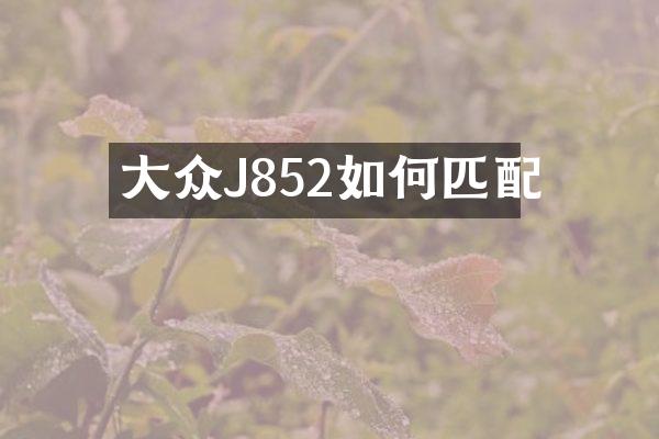 大众J852如何匹配