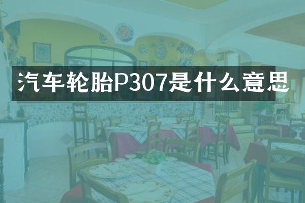汽车轮胎P307是什么意思
