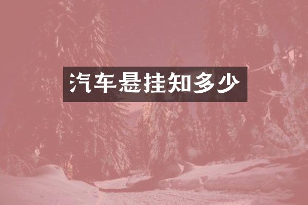 汽车悬挂知多少