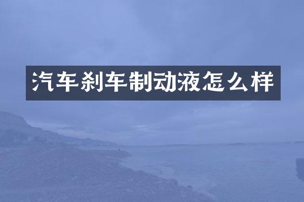 汽车刹车制动液怎么样