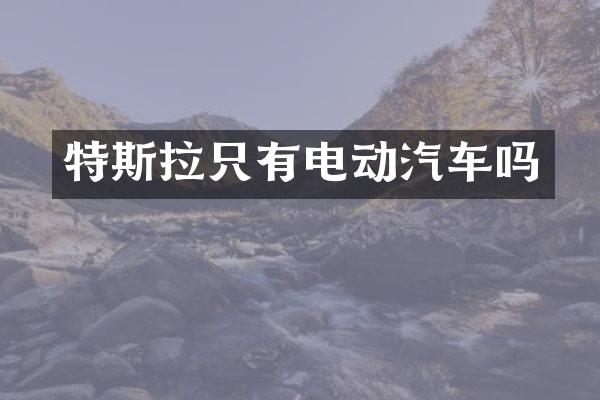 特斯拉只有电动汽车吗