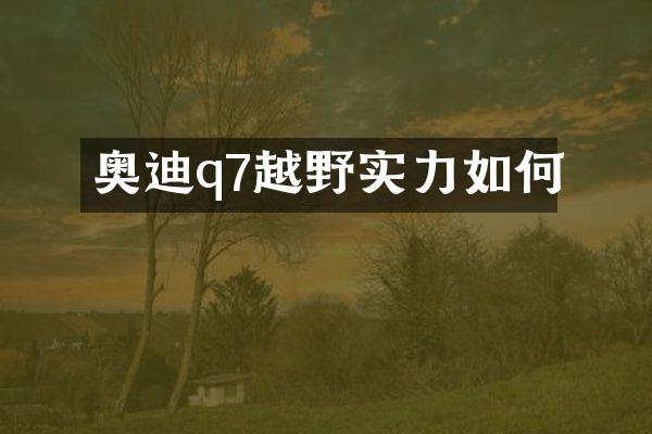 奥迪q7越野实力如何