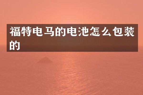 福特电马的电池怎么包装的