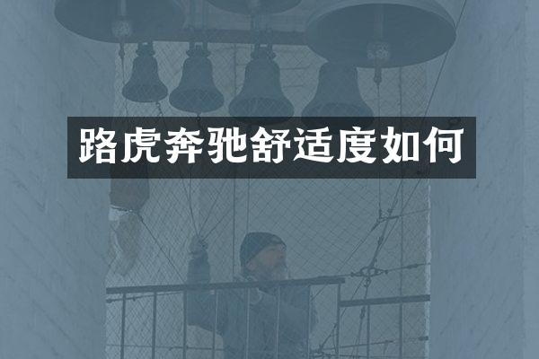 路虎奔驰舒适度如何