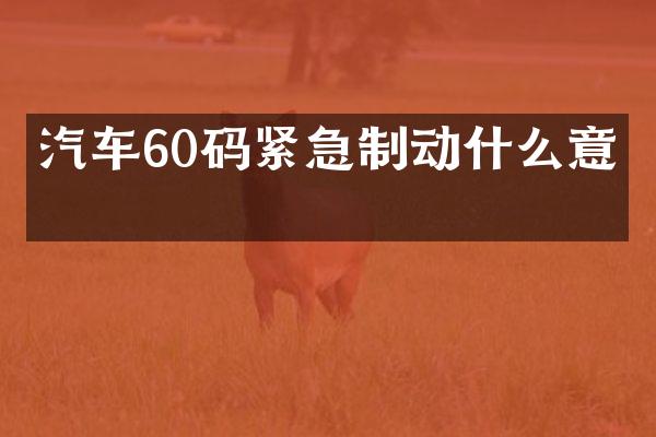 汽车60码紧急制动什么意思