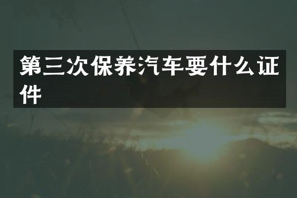 第三次保养汽车要什么证件