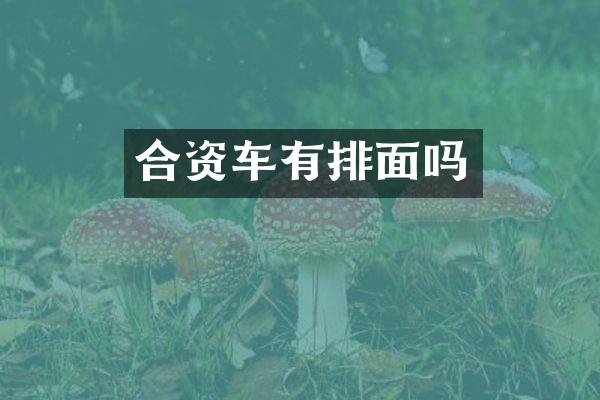 合资车有排面吗