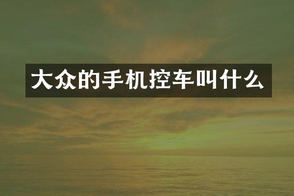 大众的手机控车叫什么