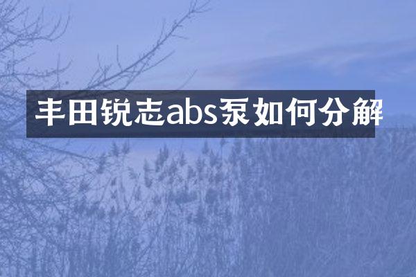 丰田锐志abs泵如何分解