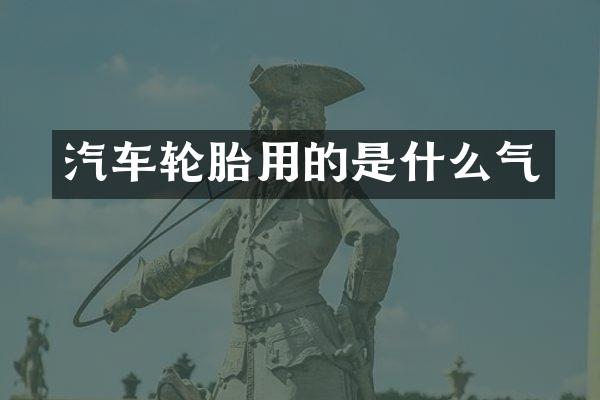 汽车轮胎用的是什么气