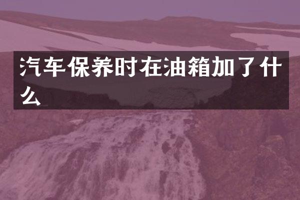 汽车保养时在油箱加了什么