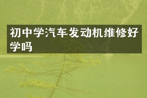 初中学汽车发动机维修好学吗