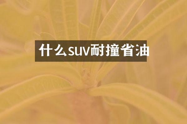 什么suv耐撞省油