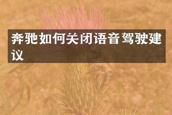 奔驰如何关闭语音驾驶建议
