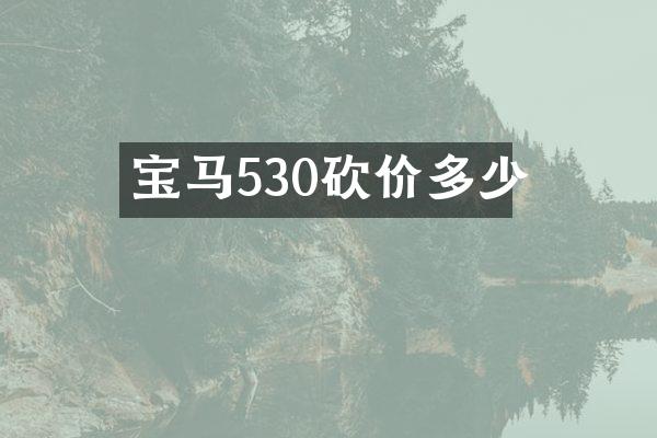 宝马530砍价多少