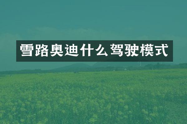 雪路奥迪什么驾驶模式