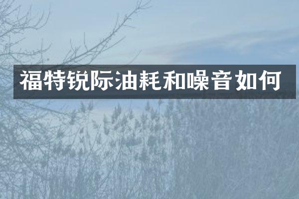 福特锐际油耗和噪音如何