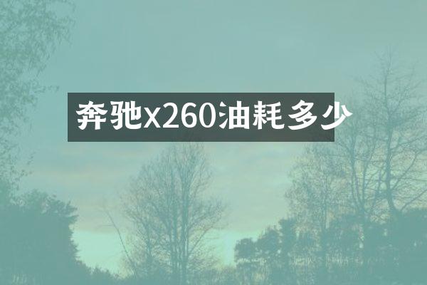 奔驰x260油耗多少