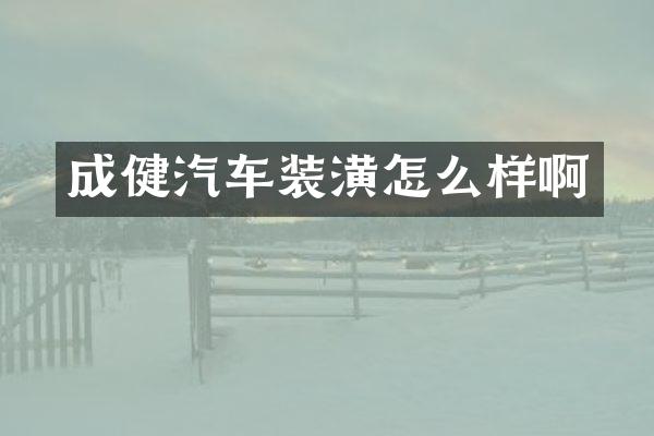成健汽车装潢怎么样啊
