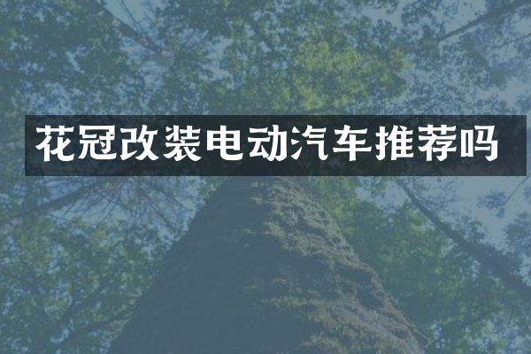 花冠改装电动汽车推荐吗