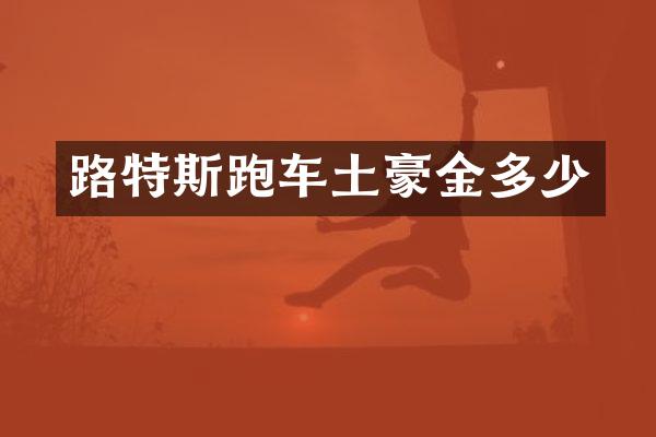 路特斯跑车土豪金多少