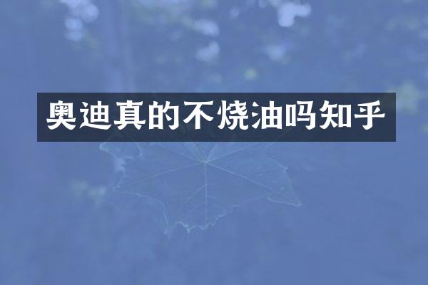 奥迪真的不烧油吗知乎