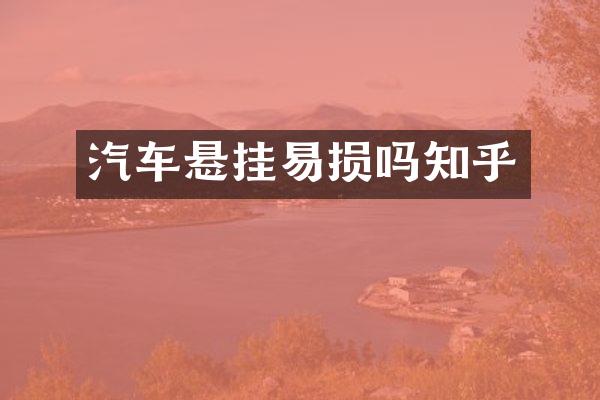 汽车悬挂易损吗知乎